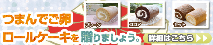 £��ʪ�ˡ֤Ĥޤ�Ǥ��� �����륱������