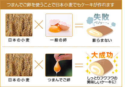 つまんでご卵を使うことで日本小麦でもケーキが作れます